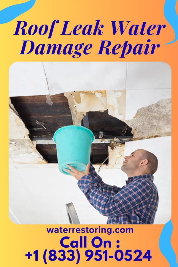 Roof Leak Water Damage Repair in Brownsville, LA