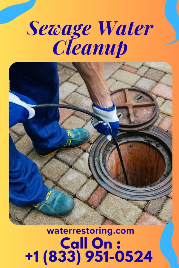 Sewage Water Cleanup in Brownsville, LA