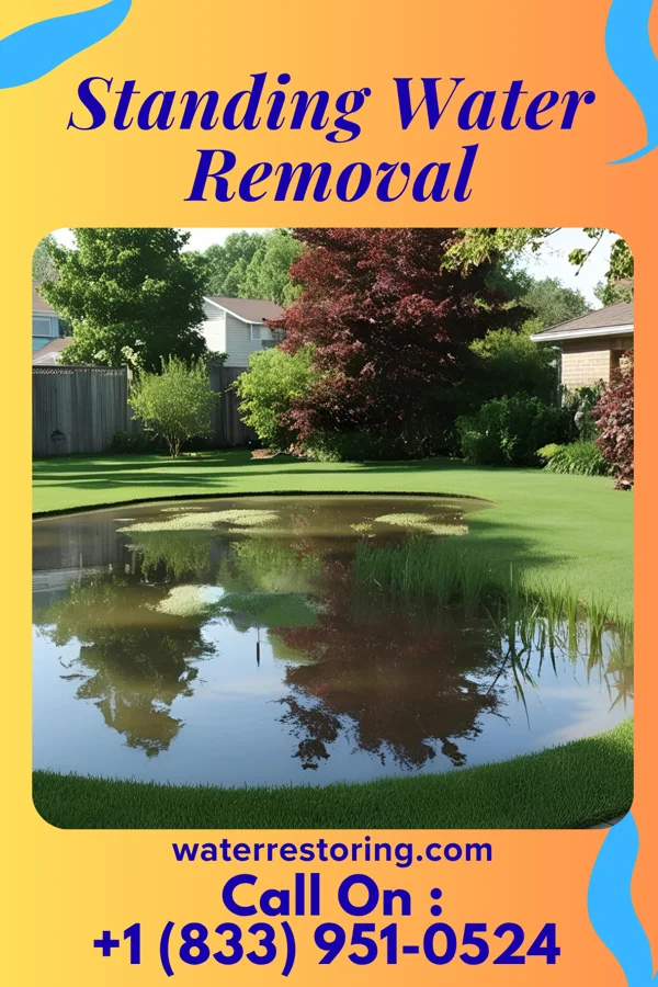 Standing Water Removal in Brownsville, LA